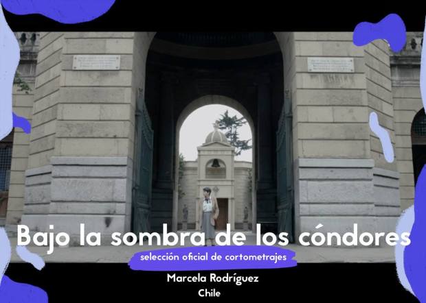 47684473_2016493111777416_7492651158897426432_n