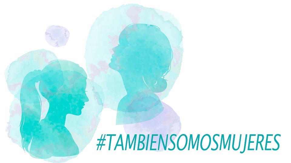 Definiciones y estrategias para hablar de género en contexto de discapacidad intelectual