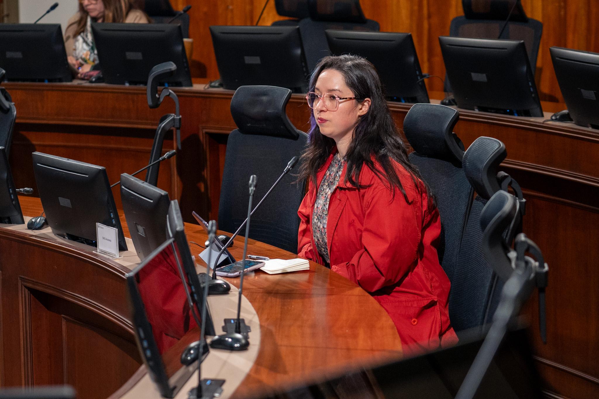 Estuvimos en la Comisión de Mujer del Senado incidiendo por una Ley de Violencia Digital para Chile